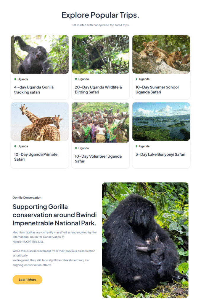 Arc Adventures responsive tour operator website design using Elementor