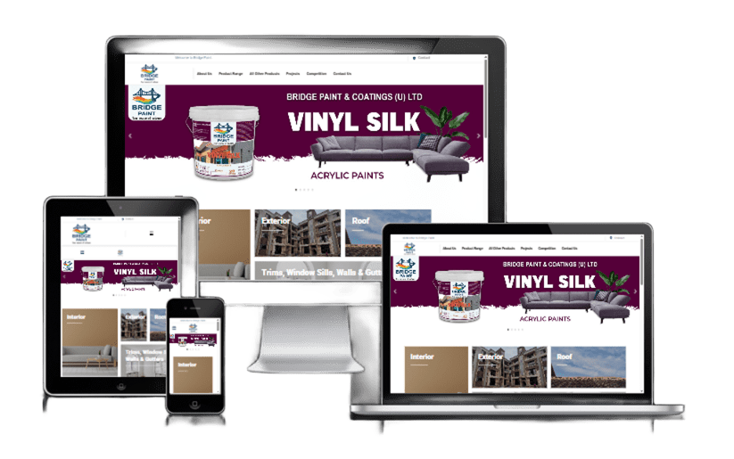 E-commerce Web Design in Uganda